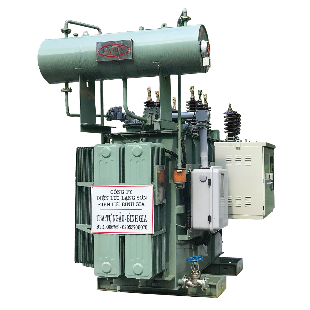 Distribution-Transformer-Havec